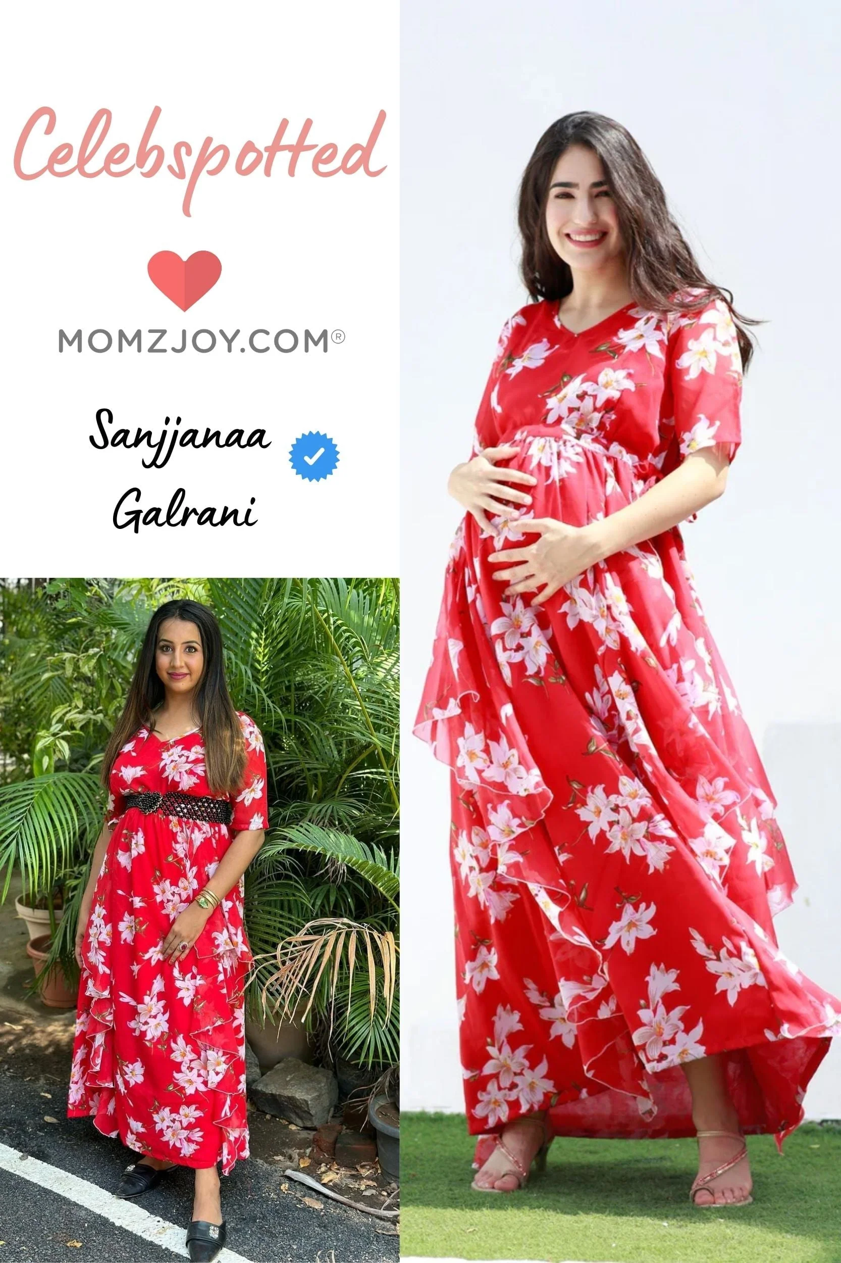 Crimson Red Blossom Maternity Flow Dress - Chenance
